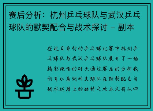 赛后分析：杭州乒乓球队与武汉乒乓球队的默契配合与战术探讨 - 副本
